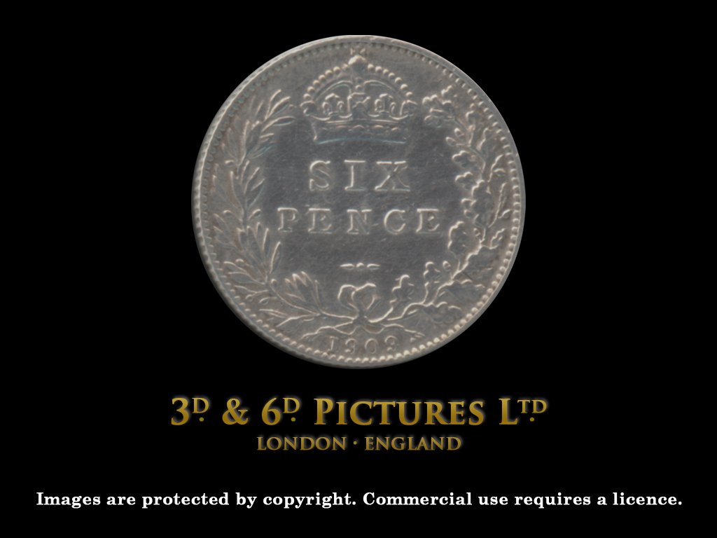 Images are protected by Copyright. Commercial use requires a licence.