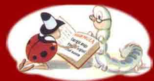 A Ladybird bookworm
