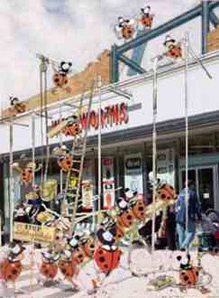 The Ladybirds arrive at Woolworths (1985)